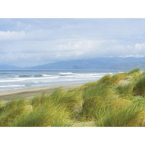 Dune Grass on Ocean Beach White Modern Wood Framed Art Print by Anonymous