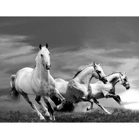 White Stallions Gold Ornate Wood Framed Art Print with Double Matting by Anonymous