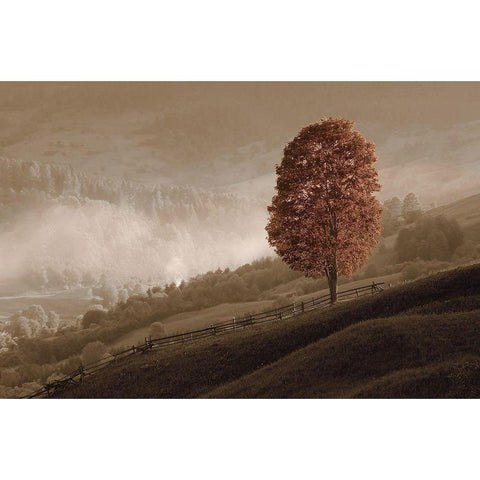 Lovely Mountain Tree Black Modern Wood Framed Art Print with Double Matting by Kotenko, O.