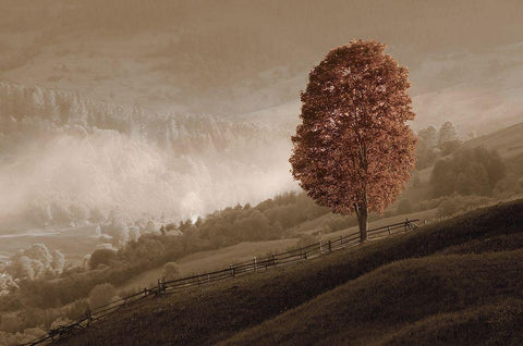 Lovely Mountain Tree Black Ornate Wood Framed Art Print with Double Matting by Kotenko, O.