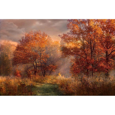 Red Oaks in the Mist Gold Ornate Wood Framed Art Print with Double Matting by Anonymous