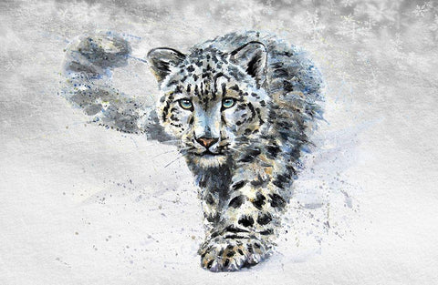 Snow Leopard Black Ornate Wood Framed Art Print with Double Matting by Kalinin, K.