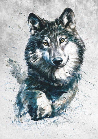 Wolf   White Modern Wood Framed Art Print with Double Matting by Kalinin, K.