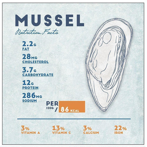 Mussel Nutrition Facts White Modern Wood Framed Art Print with Double Matting by Anonymous