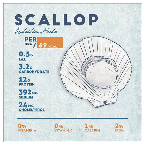 Scallop Nutrition Facts Black Modern Wood Framed Art Print with Double Matting by Anonymous