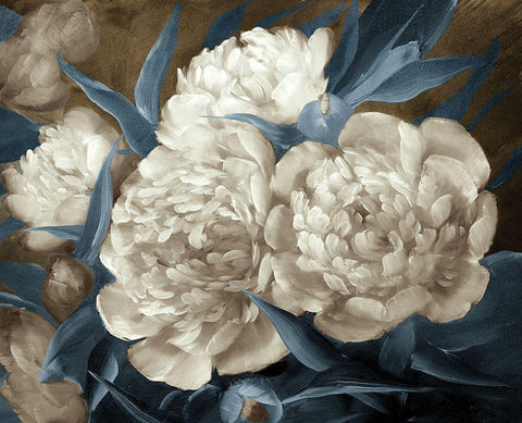 Peonies painting in blue-brown  Black Ornate Wood Framed Art Print with Double Matting by Anonymous