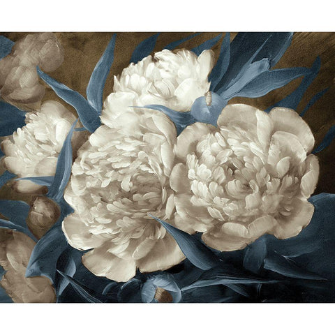 Peonies painting in blue-brown  Black Modern Wood Framed Art Print with Double Matting by Anonymous