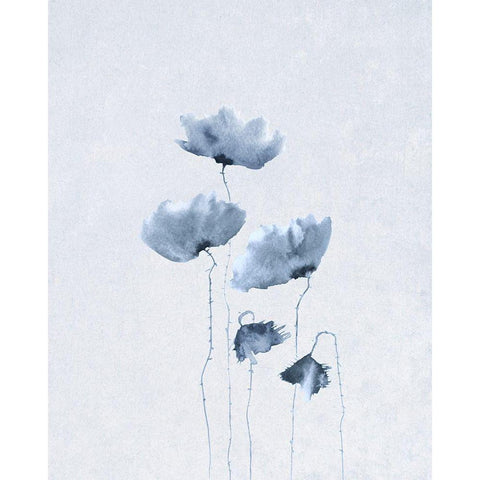 Blue Poppies 1  White Modern Wood Framed Art Print by Anonymous