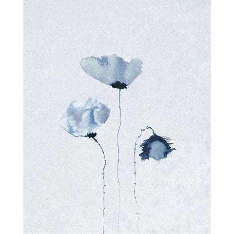 Blue Poppies 2 Black Modern Wood Framed Art Print with Double Matting by Anonymous