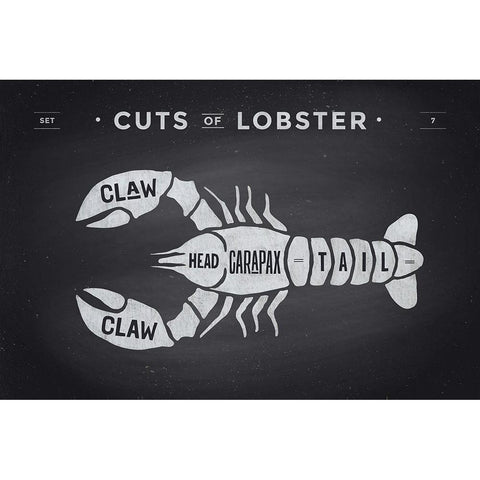 Cuts of Lobster  White Modern Wood Framed Art Print by Foxys Graphics