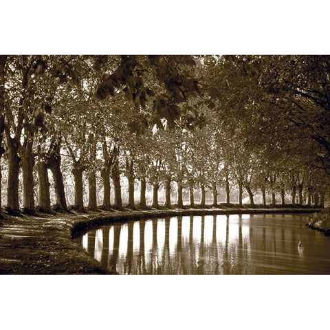 Tree Line at Pond Black Modern Wood Framed Art Print with Double Matting by Anonymous