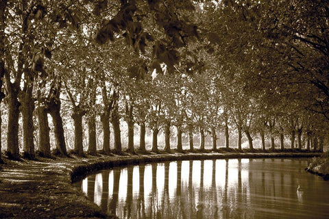 Tree Line at Pond Black Ornate Wood Framed Art Print with Double Matting by Anonymous