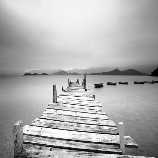 Image Only