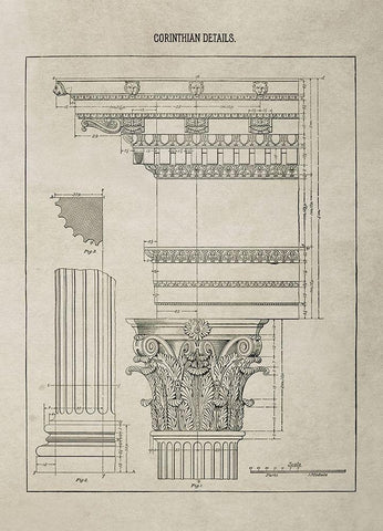 Corinthian Column Details  White Modern Wood Framed Art Print with Double Matting by Anonymous