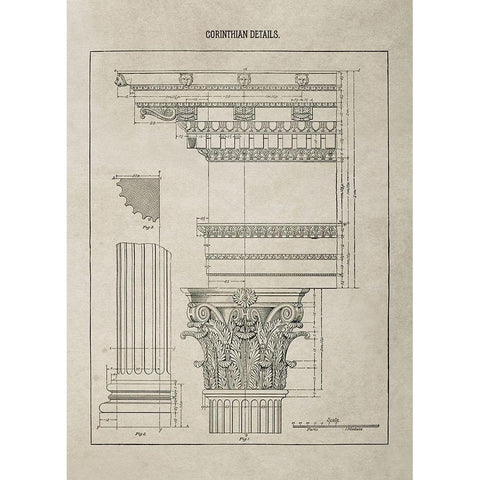 Corinthian Column Details  Gold Ornate Wood Framed Art Print with Double Matting by Anonymous