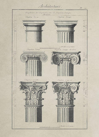 Greek Column Comparisons Black Ornate Wood Framed Art Print with Double Matting by Anonymous