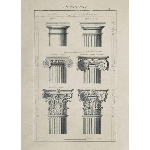 Greek Column Comparisons White Modern Wood Framed Art Print by Anonymous