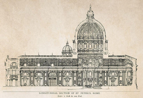 Longitudinal Section of the Saint Peter White Modern Wood Framed Art Print with Double Matting by Anonymous