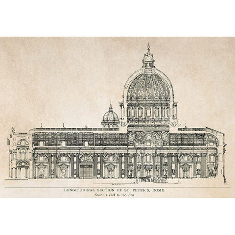 Longitudinal Section of the Saint Peter Black Modern Wood Framed Art Print with Double Matting by Anonymous