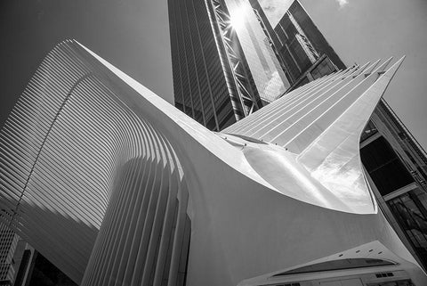Oculus I, World Trade Center, NYC White Modern Wood Framed Art Print with Double Matting by Graciet, Stephane
