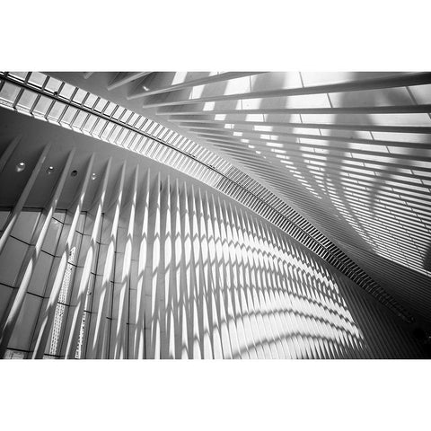Oculus Ceiling II, World Trade Center, NYC White Modern Wood Framed Art Print by Graciet, Stephane