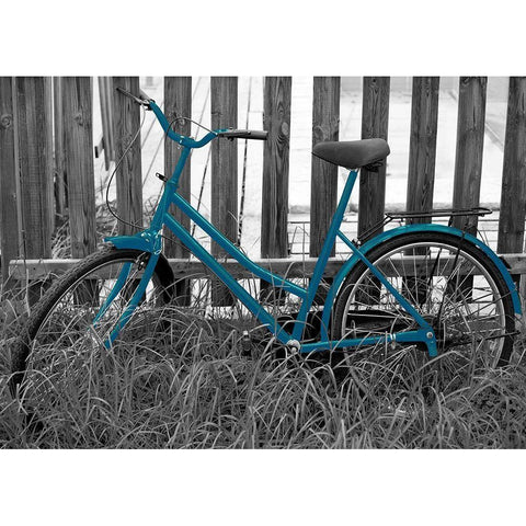 Teal Bike I. Gold Ornate Wood Framed Art Print with Double Matting by Anonymous