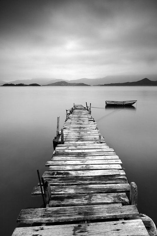 Image Only