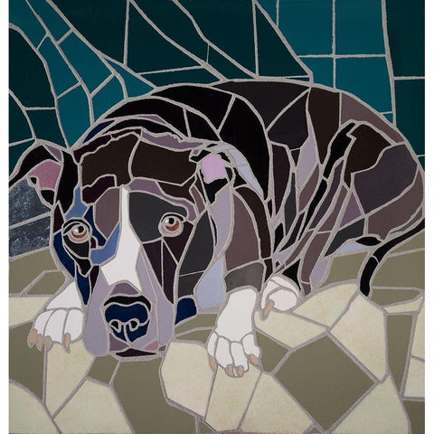 Pit Bull Portrait II Black Modern Wood Framed Art Print with Double Matting by Mandell, Jonathan