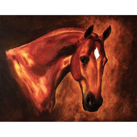 Chestnut Stallion Black Modern Wood Framed Art Print with Double Matting by Anonymous