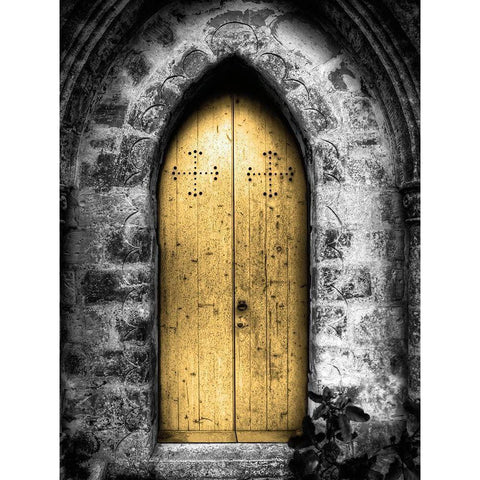 Golden Door White Modern Wood Framed Art Print by McCarthy, William