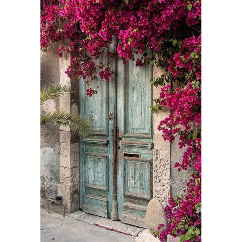 Beautiful Antique Doorway Gold Ornate Wood Framed Art Print with Double Matting by Dinosmichail