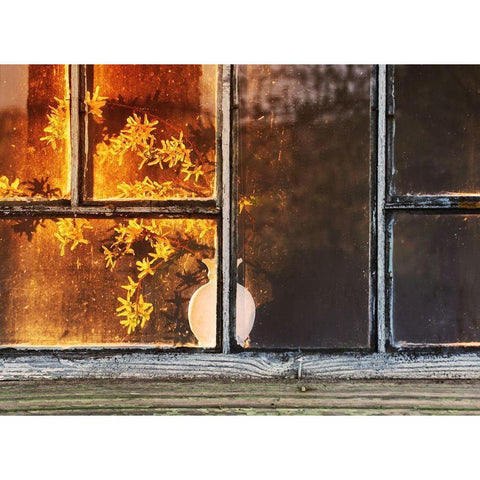 Yellow Flowers in Window Vase Black Modern Wood Framed Art Print by Kruchankova, Maya