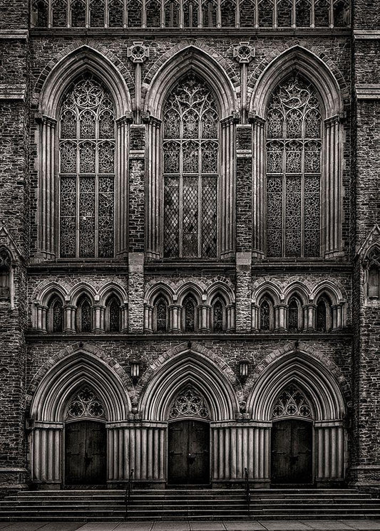 Image Only