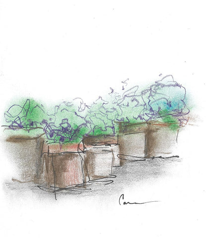 Floral Container Arrangement Black Ornate Wood Framed Art Print with Double Matting by Carroccio, Lisa