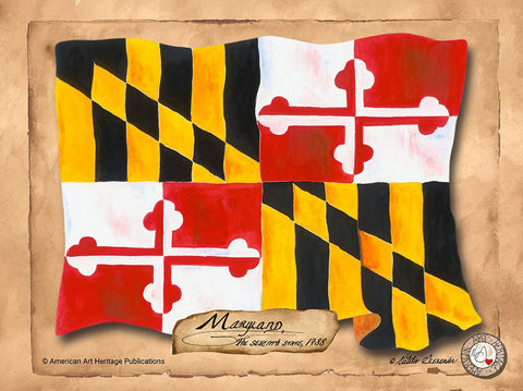 Maryland-Solo with background White Modern Wood Framed Art Print with Double Matting by Alexander, Natalie