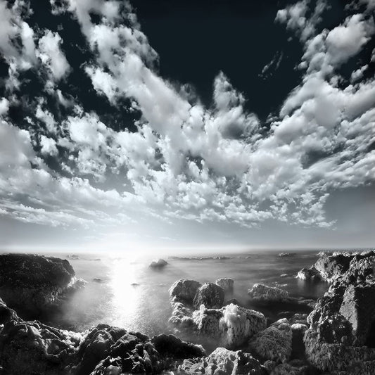 Image Only