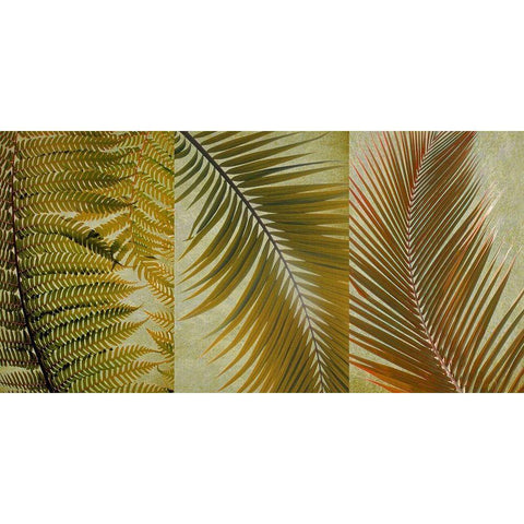 Palm Trio White Modern Wood Framed Art Print by Anonymous