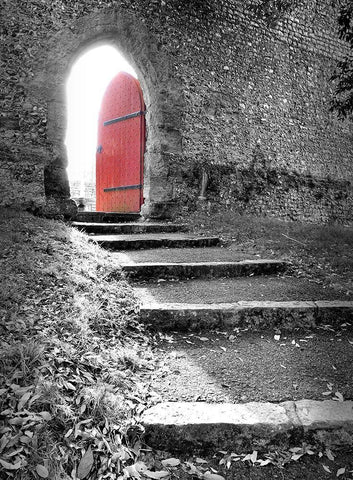 Red Door Top of the Stairs Black Ornate Wood Framed Art Print with Double Matting by Anonymous