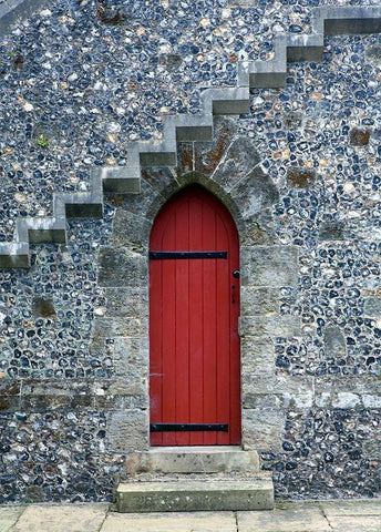 Red Door Under the Stairs Black Ornate Wood Framed Art Print with Double Matting by Anonymous