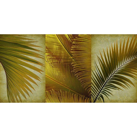 Palm Trio II Black Modern Wood Framed Art Print with Double Matting by Anonymous