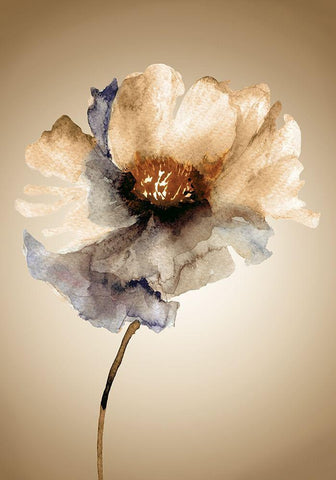 Blossom in Sienna I White Modern Wood Framed Art Print with Double Matting by Regina