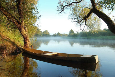 Tranquil Morning, Color Black Ornate Wood Framed Art Print with Double Matting by Anonymous