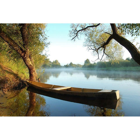 Tranquil Morning, Color White Modern Wood Framed Art Print by Anonymous