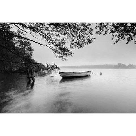 Breezy Morning White Modern Wood Framed Art Print by Anonymous