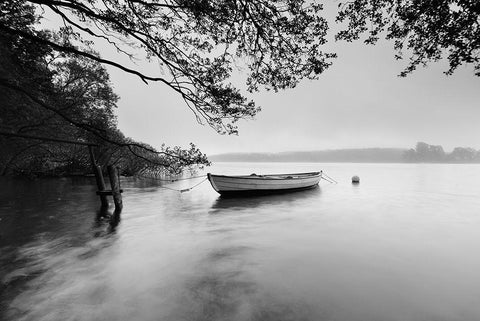 Breezy Morning White Modern Wood Framed Art Print with Double Matting by Anonymous