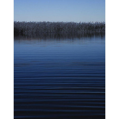 Still Waters II White Modern Wood Framed Art Print by Anonymous