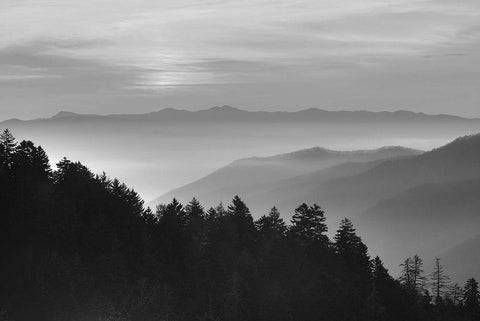 Smoky Mountains Black Ornate Wood Framed Art Print with Double Matting by Anonymous