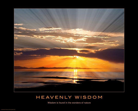 Heavenly Wisdom Black Ornate Wood Framed Art Print with Double Matting by Anonymous