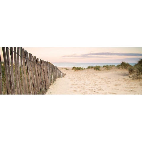 Sand Fence, Early Morning Gold Ornate Wood Framed Art Print with Double Matting by Anonymous