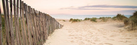 Sand Fence, Early Morning Black Ornate Wood Framed Art Print with Double Matting by Anonymous